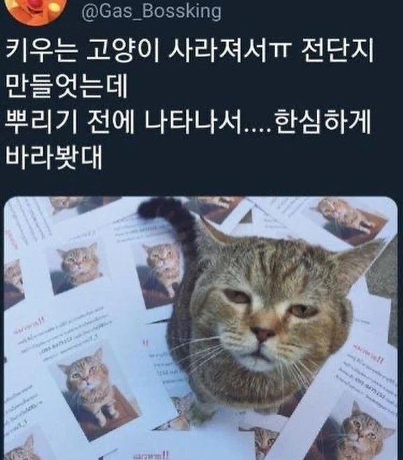 17206876181882.png