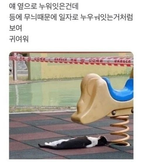 17206876214791.png
