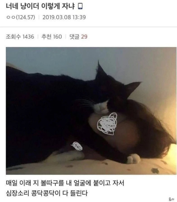 17206876187089.png