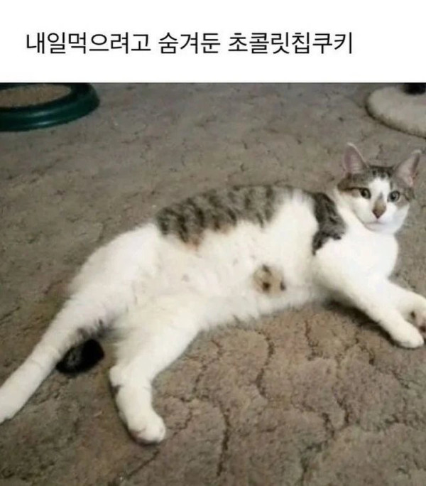 1720687619828.png