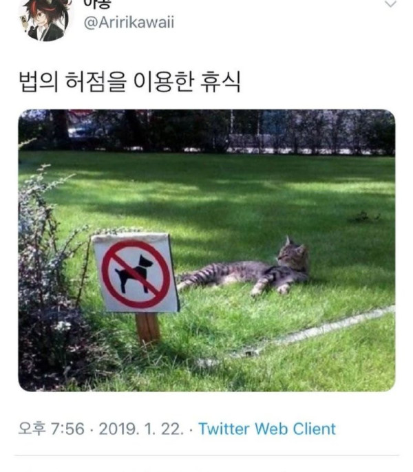 17206876204718.png