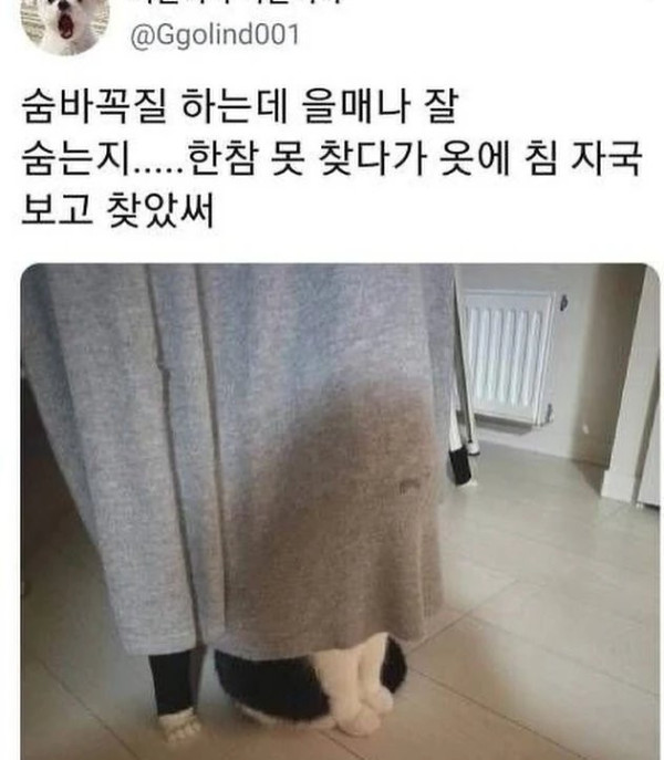 17206876210256.png