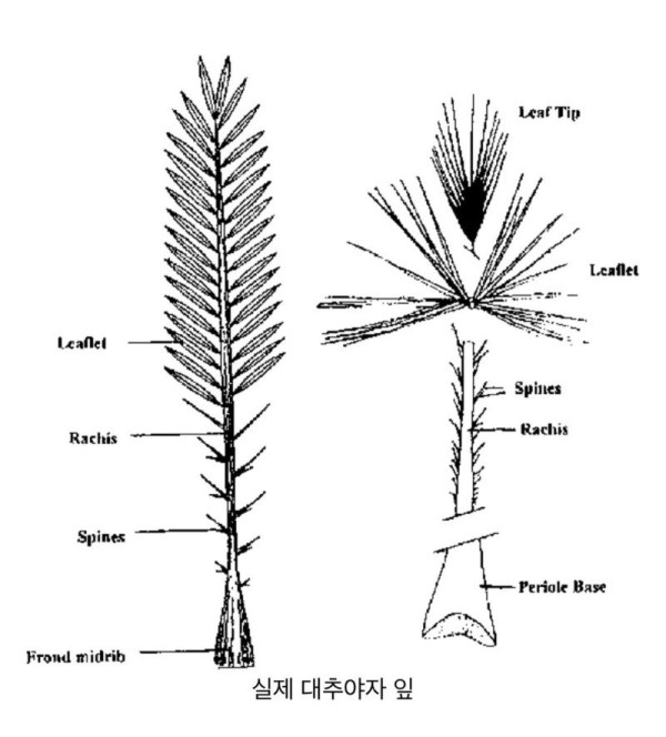 17210106065374.jpg