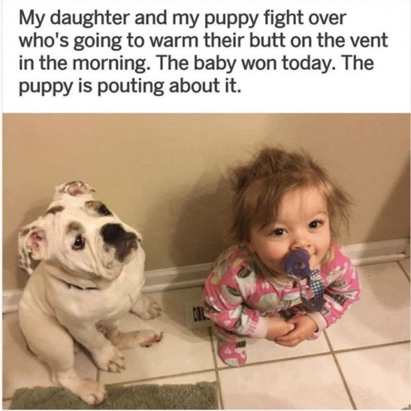 17212347988193.jpg
